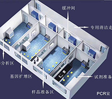 PCR实验室